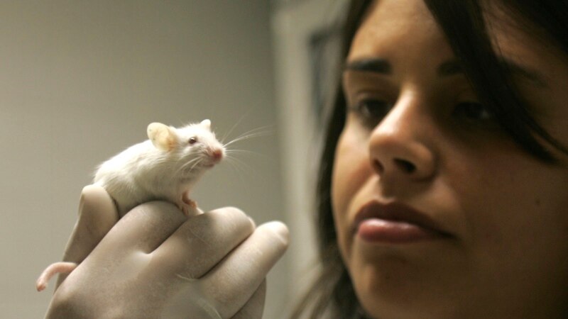 How the Coronavirus Affects Research at Colleges Worldwide