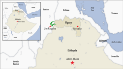 Ethiopians React to Unilateral Cease-fire in Tigray