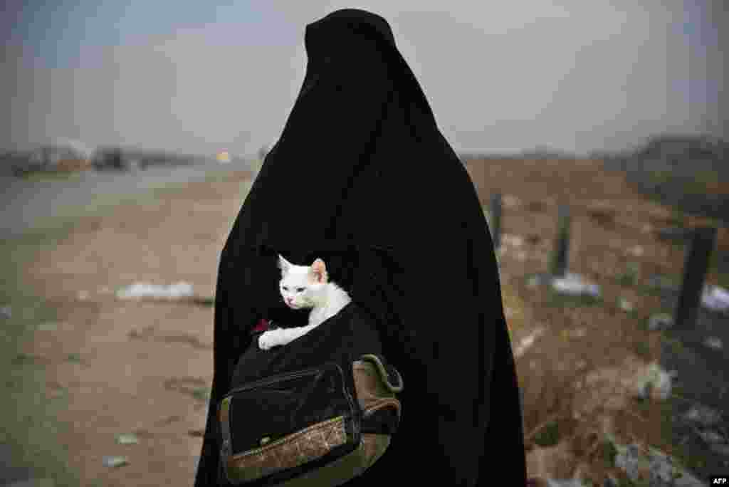 A displaced Iraqi woman holds her cat, Lulu, as she waits for transport in the Iraqi Kurdish checkpoint village of Shaqouli, about 35 kilometers east of Mosul, after she fled her home with her children in the eastern Intisar neighborhood of the embattled city to take refuge at a camp in Irbil.