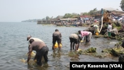 Des hommes et des femmes puisent l’eau du lac Kivu, à Goma, pour aller la vendre dans des quartiers non ou mal desservis par la Régie de distribution et traitement d’eau du Nord-kivu.