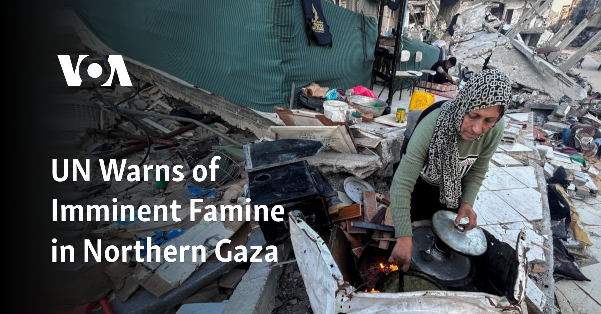 Famine Imminent In Northern Gaza, Food Security Experts Warn