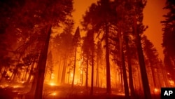 کیلی فورنیا میں خشک موسم کے باعث بھڑکنے والی آگ نے لاکھوں ایکڑ پر محیط جنگلات راکھ کر دیے۔ 17 اگست 2021 
