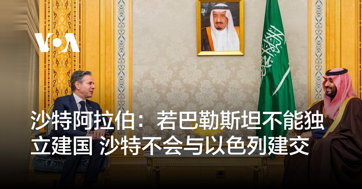 沙特阿拉伯：若巴勒斯坦不能独立建国 沙特不会与以色列建交