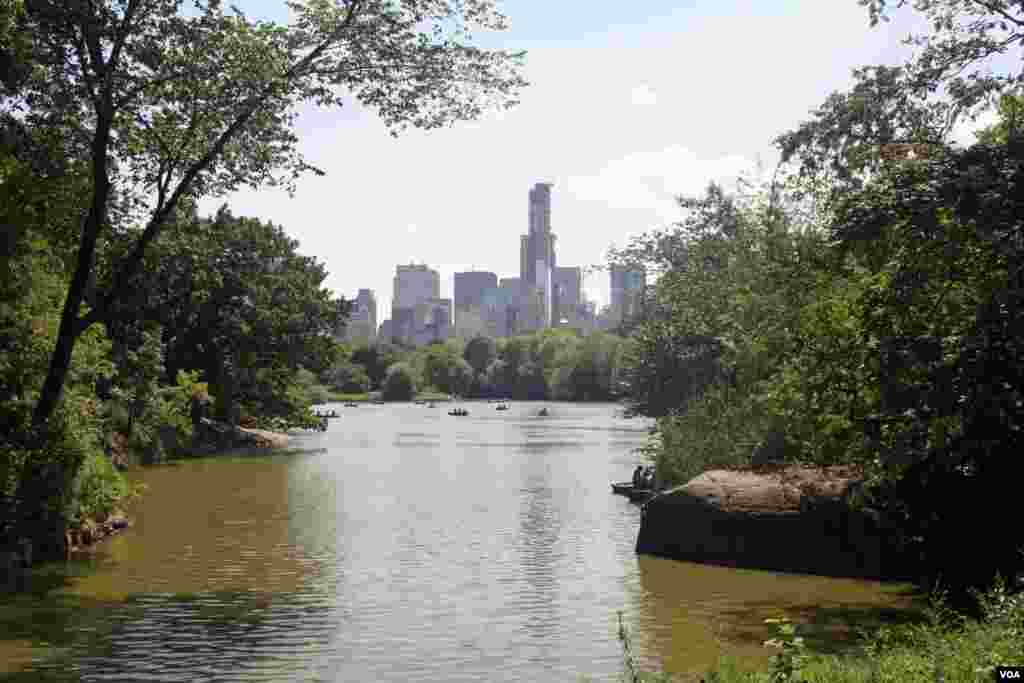 Tómese un respiro en Central Park, un espacio natural de 3,4 kilómetros cuadrados en el corazón de la ciudad.