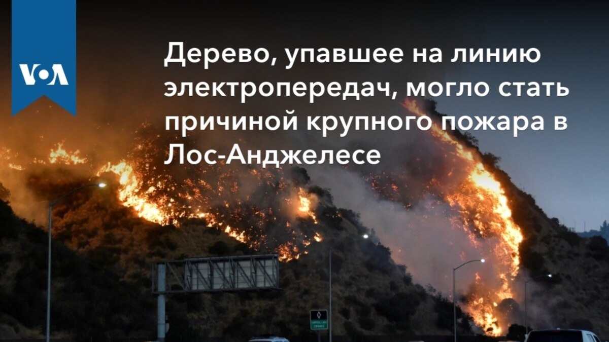 Дерево, упавшее на линию электропередач, могло стать причиной крупного  пожара в Лос-Анджелесе