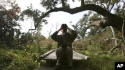 FILE - In this Dec. 22, 2010, file photo, Bart Siegel of New Orleans looks through binoculars for birds during the National Audubon Society's annual Christmas bird count on the Gulf Coast in Grand Isle, La. (AP Photo/Sean Gardner, File)