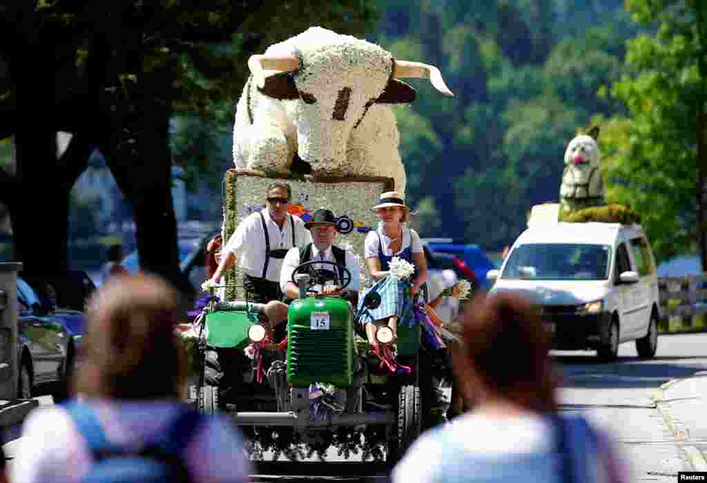 A figure made of daffodil blossoms arrives for a parade during the daffodil festival (Narzissenfest) along Grundlsee lake in Grundlsee, Austria.