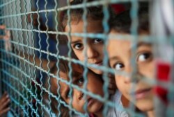 Palestinian children, who fled their homes due to Israeli air and artillery strikes, look through a window fence at a United Nations-run school where they take refuge, in Gaza City.