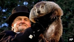 FILE - Groundhog Club handler John Griffiths holds Punxsutawney Phil, the weather prognosticating groundhog, during the 131st celebration of Groundhog Day on Gobbler's Knob in Punxsutawney, Pa., Feb. 2, 2017.