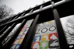 The gate of the closed Smithsonian's National Zoo is seen, Jan. 2, 2019, in Washington.