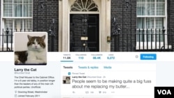 A screen shot of Larry the Cat's Twitter account.