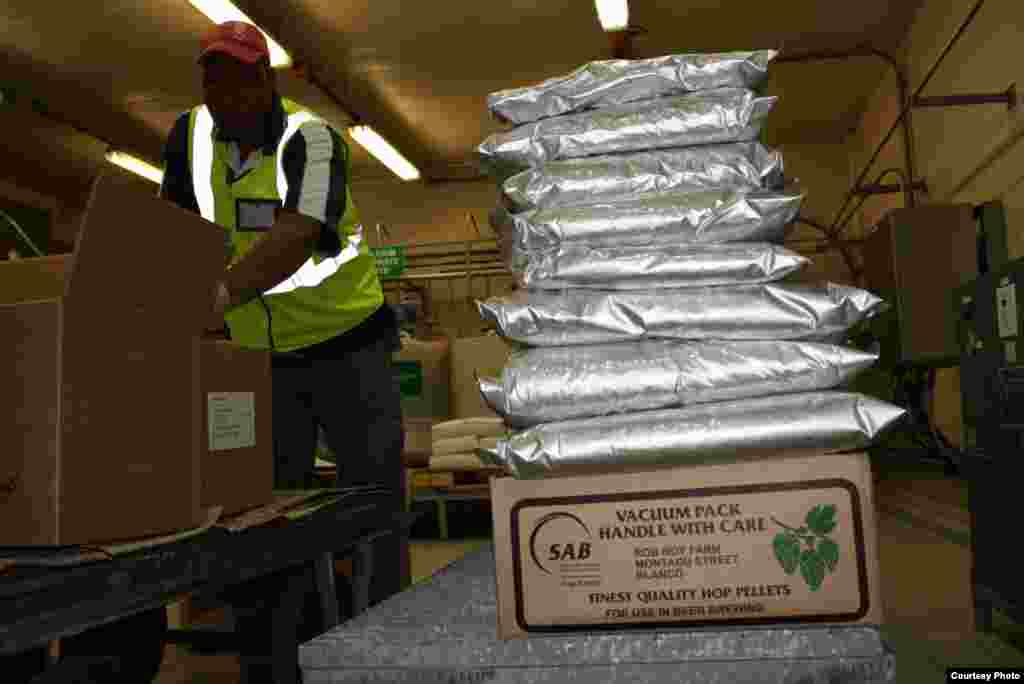 At South African Breweries facility in Alrode near Johannesburg, a packer prepares stacks of bags of hops for shipping. (VOA/Darren Taylor)