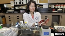 Dr. Christine Lee, an infectious disease physician, poses in a lab at St. Joseph's Healthcare hospital at McMaster University where they're looking at transplanting healthy human feces, in Hamilton, Ontario, November 22, 2012.