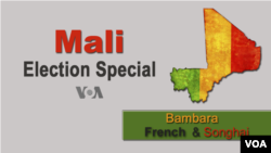 Mali elections