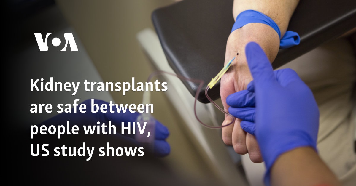 Kidney transplants are safe between people with HIV, US study shows 