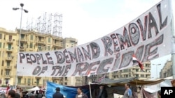 Protesters in Tahir Square, Cairo, 8 February 2011