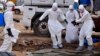 Thêm 84 người thiệt mạng vì Ebola ở Tây Phi
