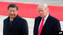 도널드 트럼프 미국 대통령(오른쪽)과 시진핑 중국 국가주석.