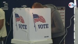 Hispanos representan un histórico 17% de los votantes registrados en Florida 