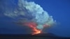 Galapagos Volcano Eruption Threatens Pink Iguanas