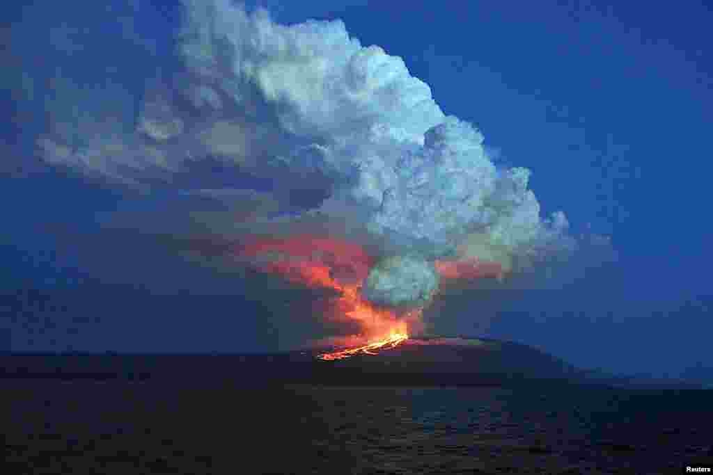 Núi lửa Wolf phun tro và nham thạch trên đảo Isabela trong Công viên quốc gia Galapagos, ngày 25 tháng 5, 2015. (Ảnh do công viên quốc gia Galapagos cung cấp.