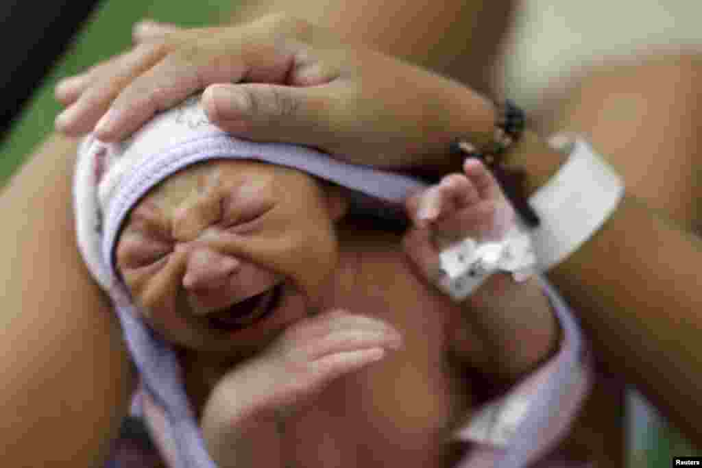 برازیل میں چھوٹے سر کے ساتھ پیدا ہونے والے بچوں کی تعداد میں اضافہ ہو رہا ہے۔