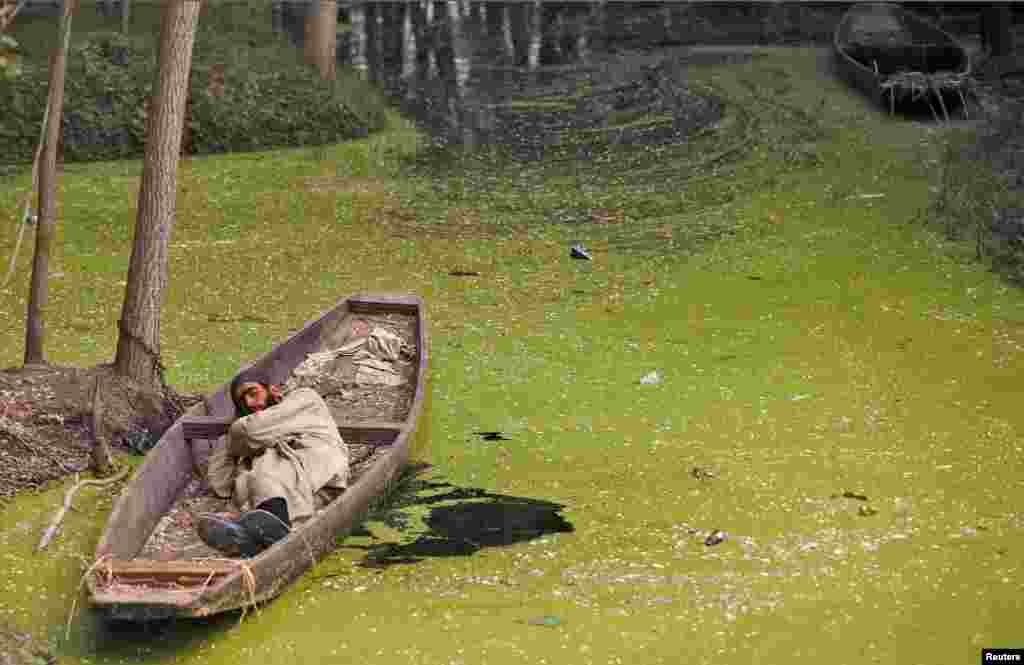 인도 스리나가의 안카 호수가 조류에 뒤덮힌 가운데, 카슈미르 남성이 배위에서 잠을 청하고 있다. &nbsp;