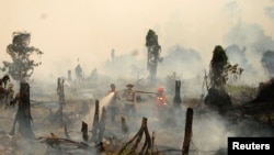Polisi dan petugas pemadam kebakaran berusaha memadamkan kebakaran hutan di Rokan Hulu, provinsi Riau, Sumatera (28/8). 