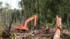 Pemerintah Bantah Buka 1,2 Juta Hektar Hutan di Aceh