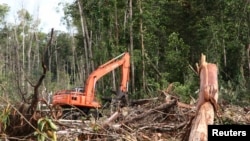 Hutan yang dirusak di wilayah lahan gambut, Kuala Tripa di Nagan Raya, Aceh. (Foto: Dok)