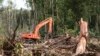 Pemerintah RI Perpanjang Moratorium Penebangan Hutan
