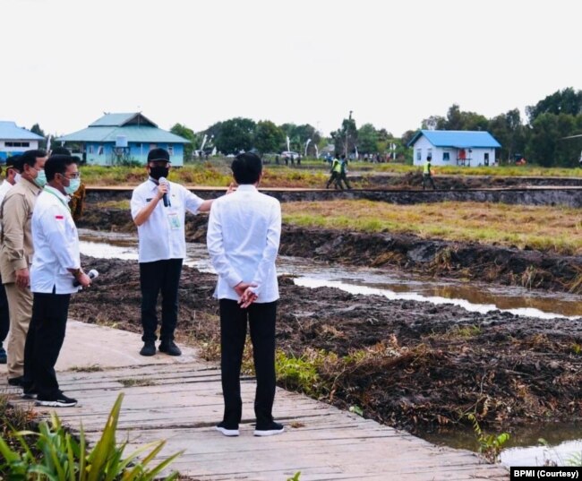 Presiden Jokowi meninjau pengembangan lumbung pangan nasional di Kabupaten Kapuas, Kalimantan Tengah, Kamis, 9 Juli 2020. (Foto: Courtesy/BPMI)