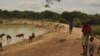 FAO faz apelo mundial para combater efeitos da seca na África Austral