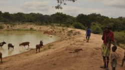 Governo cabo-verdiano anuncia plano de emergência frente a mau ano agrícola