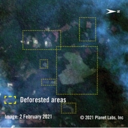 This image by Planet Labs taken on Feb. 2, 2021 shows deforested area in Prey Lang, Cambodia.