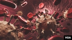 Coronavirus and blood cells in organism. Virus causing pandemic around the world. 3D render