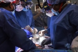 Anggota tim bedah melakukan transplantasi jantung babi ke pasien David Bennett di Baltimore pada Jumat, 7 Januari 2022. (Mark Teske/University of Maryland School of Medicine via AP)