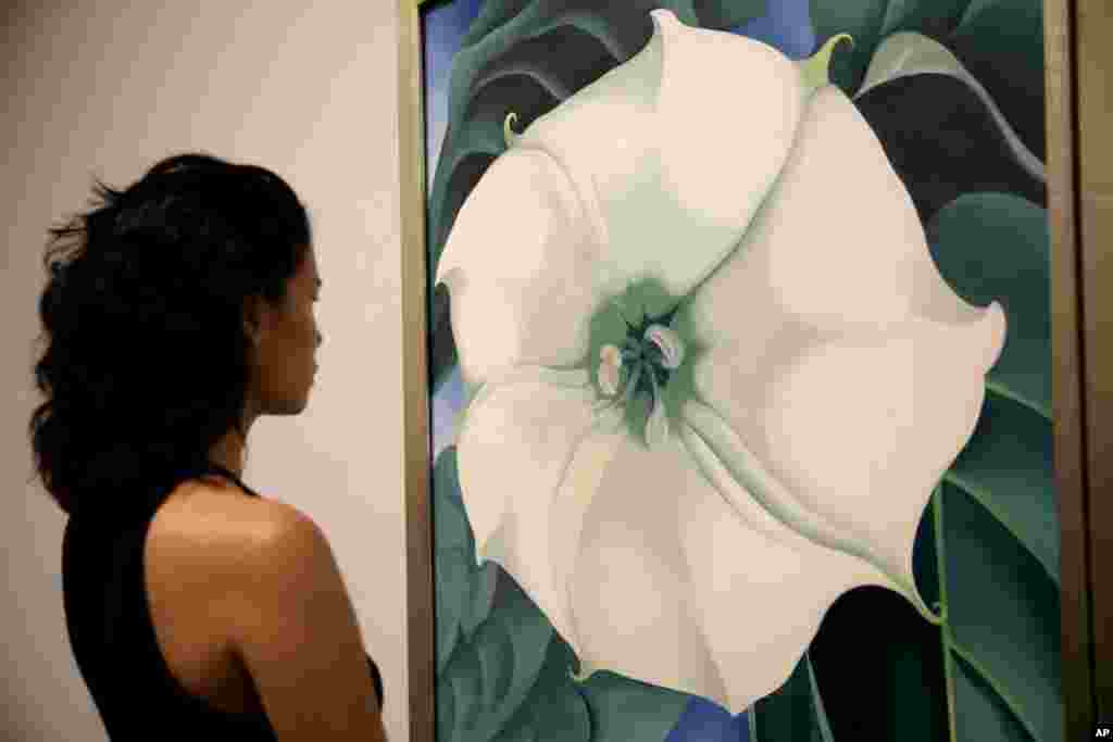 Một đại diện của nhà triển lãm Tate Modern đứng cạnh tác phẩm &quot;Jimson Weed/White Flower No.1&quot; của họa sĩ người Mỹ Georgia O&#39;Keeffe, tại một buổi ra mắt báo giới cho cuộc triển lãm hơn 100 tác phẩm tại nhà triển lãm nghệ thuật Tate Modern ở London, Anh. O&#39;Keeffe là một trong những họa sĩ Mỹ mang tính biểu tượng của thế kỷ 20, nhưng cuộc triển lãm tại nhà triển lãm Tate Modern là lớn nhất từ ​​trước tới nay của nữ họa sĩ ở ngoài nước Mỹ.