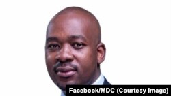 Nelson Chamisa, successeur du défunt Morgan Tsvangirai comme président en exercice du principal parti d'opposition du Zimbabwe, Mouvement pour un changement démocratique (MDC), a été investi candidat à l'élection présidentielle, Nairobi, Kenya, 1er mars 2