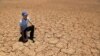 Deadly Drought in Southern Africa Leaves Millions Hungry