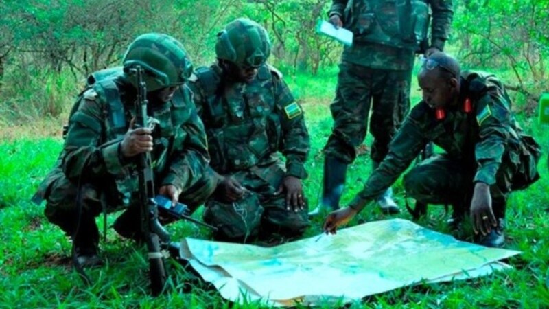 L'armée rwandaise a mené des opérations dans l'est de la RDC (rapport ONU)