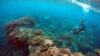 Peter Gash (kiri), pemilik dan manajer Lady Elliot Island Eco Resort, memeriksa kondisi terumbu di sebuah area yang disebut 'Taman Karang" di Pulau Lady Elliot an 80 kilometer timur laut dari kota Bundaberg di Queensland, Australia, 11 Juni 2015. (REUTERS/David Gray)