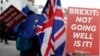 Les manifestants anti et pro-Brexit, devant le palais de Westminster à Londres, le lundi 11 mars 2019. (AP Photo / Alastair Grant)