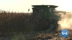Despite Trade Uncertainty, Many US Farmers to Back Trump in 2020