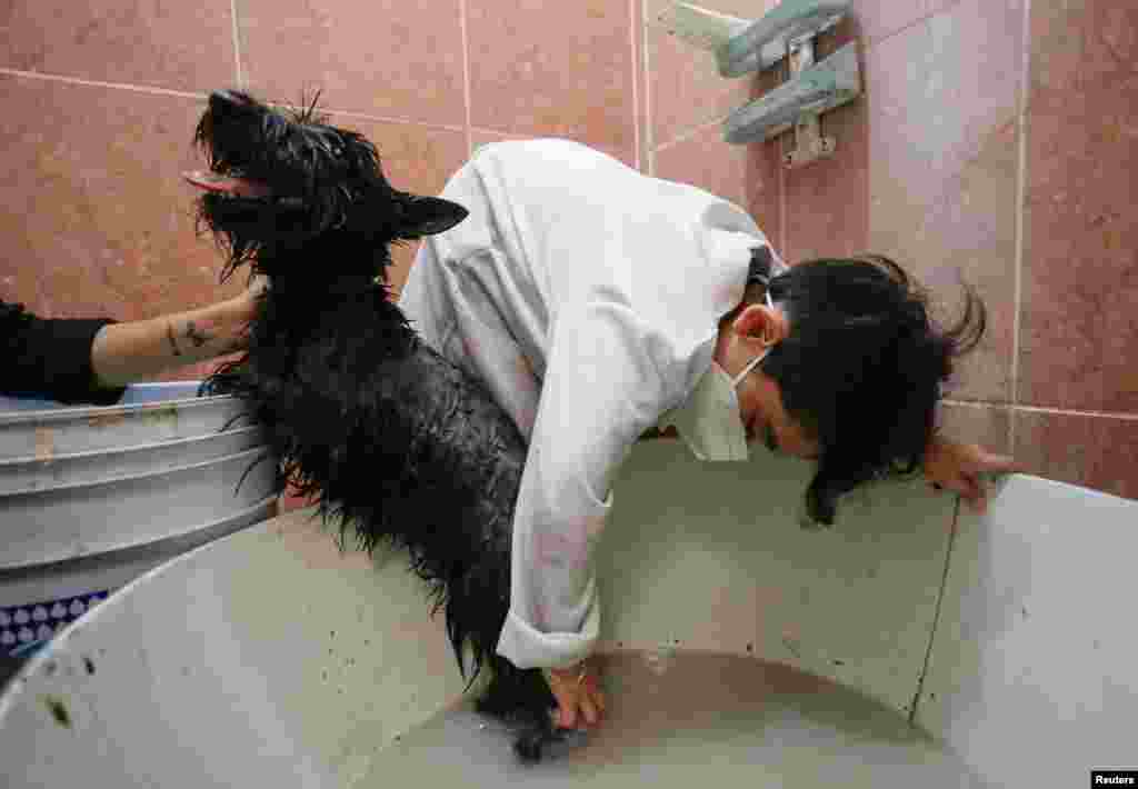 Jonathan Salas, helped by his mother, bathes a dog at his home in Apodaca, on the outskirts of Monterrey, Mexico. The seven-year-old boy saves the money to fund his plan to become a vet.