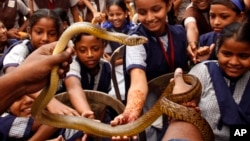 Well, not everyone is afraid of snakes! These school children in India touch snakes during an awareness program about the creatures in 2015. (AP Photo/Rajanish Kakade)