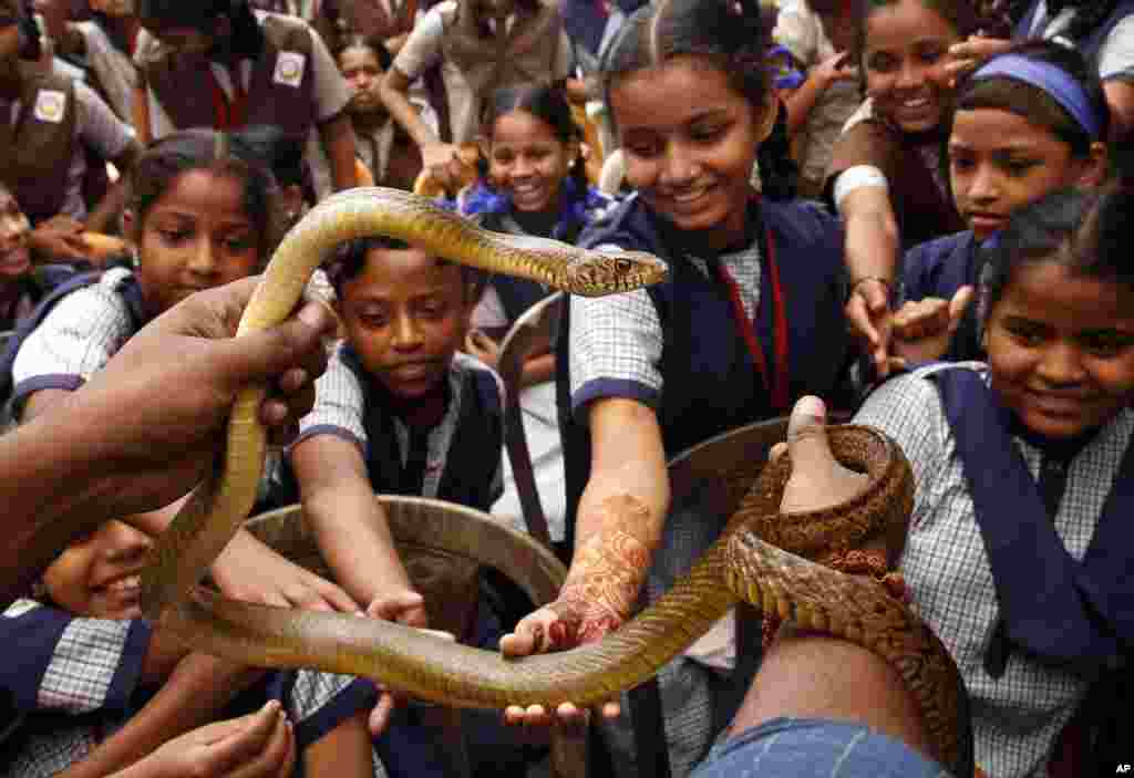 Hindistan - Naag Panchami festivalı &nbsp;