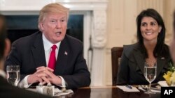 President Donald Trump, joined by U.S. Ambassador to the U.N. Nikki Haley, right, speaks during a lunch with the United Nations Security Council in the State Dining Room of the White House in Washington, Jan. 29, 2018. 