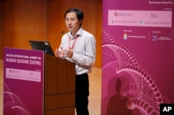 유전자 편집을 통해 쌍둥이 아기를 성공적으로 출산시켰다고 주장한 중국 과학자 허젠쿠이 박사가 28일 홍콩에서 열린 제2회 국제인류유전자편집회의에서 연설했다.