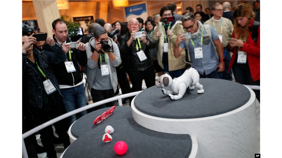 Robot Dog Was Developed to Comfort People With Alzheimer's & Dementia